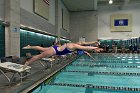 Swimming vs Bentley  Wheaton College Swimming vs Bentley. - Photo By: KEITH NORDSTROM : Wheaton, Swimming, Bentley